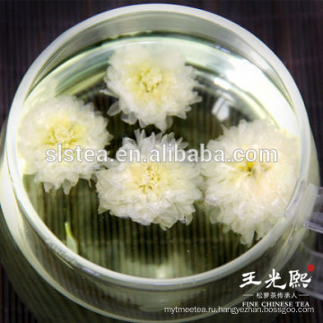 Цветущие хризантемы цветочный чай для здоровья тела и красоты